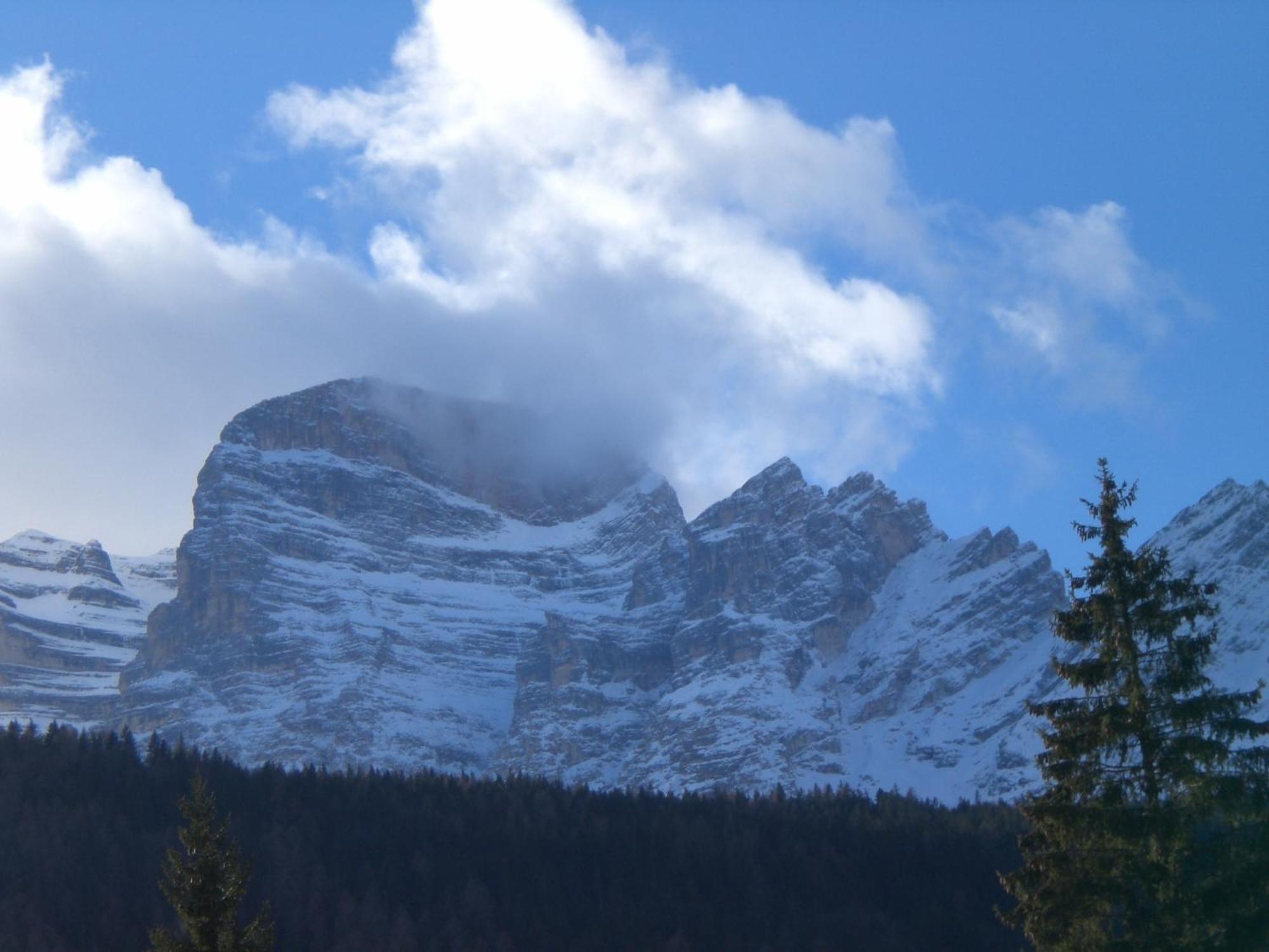 Hotel Villa Ines Borca di Cadore Dış mekan fotoğraf